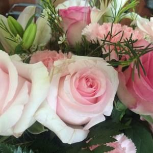 Meet your Posher, Theoni